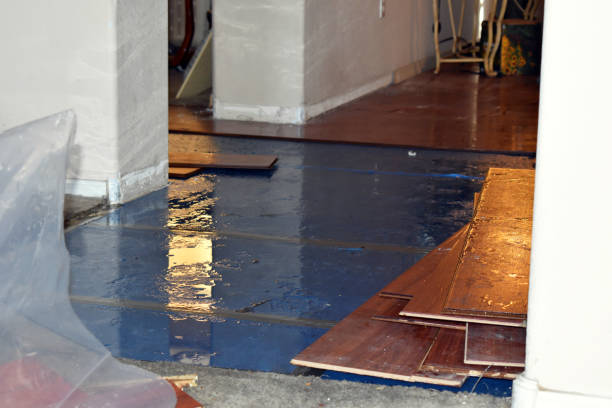 Professional Sewage Cleanup technician working in Sparta, IL